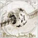Pandora Bead Charm