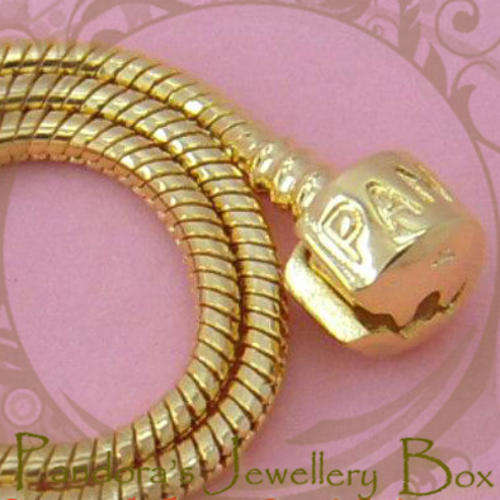 Pandora Bacio Bead Charm