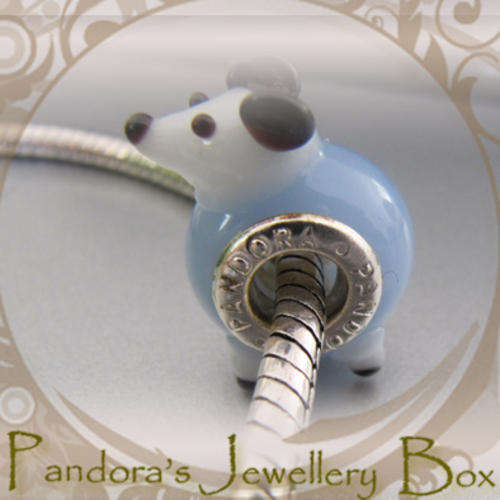 Pandora Bead Charm