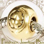 Pandora Bead Charm