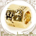 Pandora Bead Charm