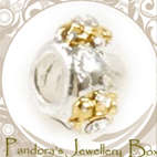 Pandora Bead Charm