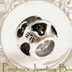 Pandora Bead Charm