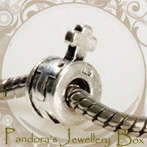 Pandora Bead Charm