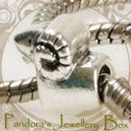 Pandora Bead Charm