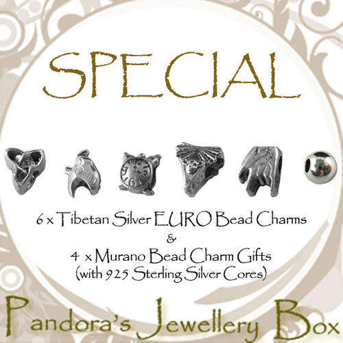VALUE! VALUE! VALUE! 6 Tibetan Silver EURO Bead Charms & 4 Mystery MURANO Charms with 925 Cores