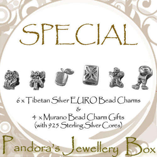 VALUE! VALUE! VALUE! 6 Tibetan Silver EURO Bead Charms & 4 Mystery MURANO Charms with 925 Cores
