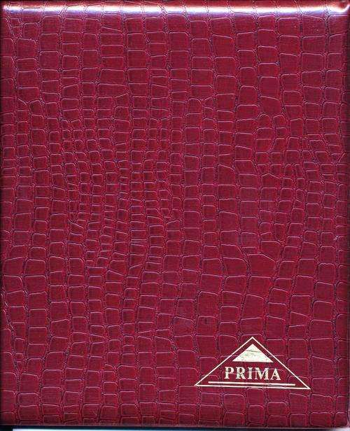 RSA - BEAUTIFUL "SNAKE SKIN" TYPE ALBUM WITH MANY FD & FLIGHT COVERS - VIEW BELOW