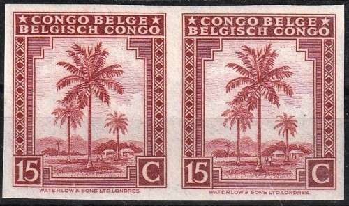 BELGUIM CONGO - 1942 15c - IMPERF PLATE PROOF - VIEW BELOW - (X)