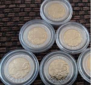 5 UNCIRCULATED AND ENCAPSULATED 2011 SARB COINS.ONE BID FOR THE LOT!!!
