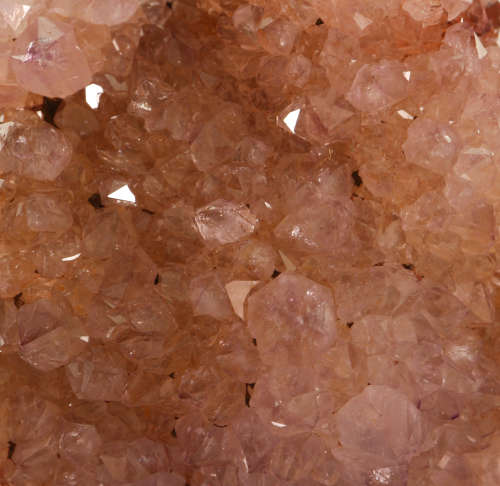 Amethyst Cactus Fairy Quartz, Boekenhouthoek, South Africa