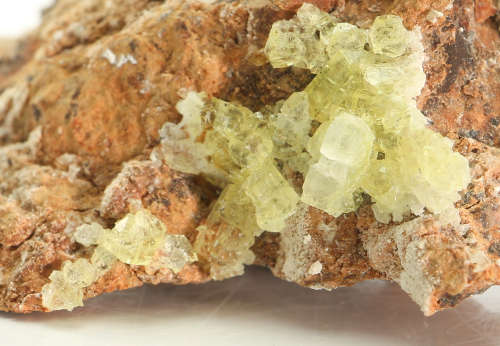 Ettringite on Matrix, Wessels Mine, Northern Cape, South Africa