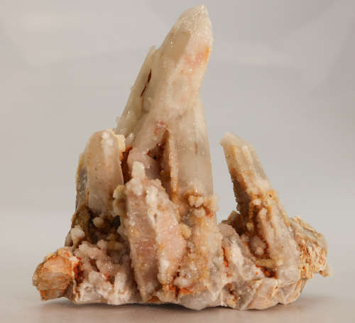 Cactus fairy Quartz Cluster, Boekenhouthoek, South Africa