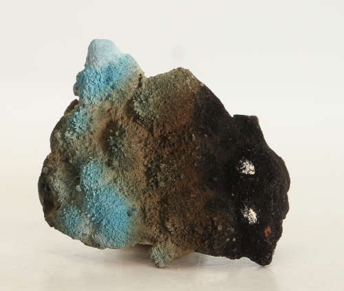 Shattuckite Cluster, Tantara Mine, DRC