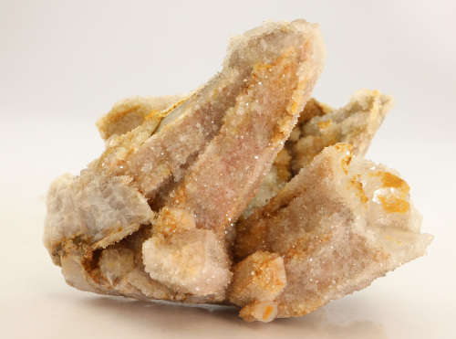 Cactus fairy Quartz Cluster, Boekenhouthoek, South Africa
