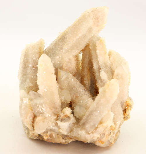 Cactus Fairy Quartz Cluster, Boekenhouthoek, South Africa