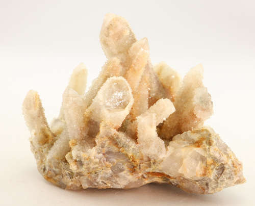 Cactus Fairy Quartz Cluster, Boekenhouthoek, South Africa