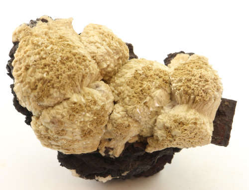 Olmiite on Matrix, N`Chwaning II, Northern Cape, South Africa