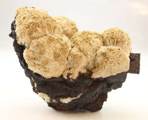 Olmiite on Matrix, N`Chwaning II, Northern Cape, South Africa