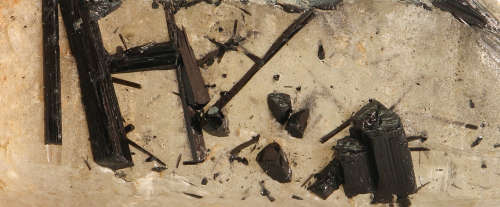Black Tourmaline on Quartz, Erongo Mnt Region, Namibia