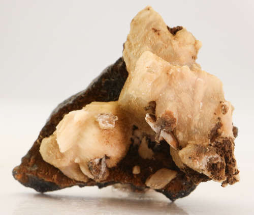 Mangancalcite on Matrix, N`Chwaning II, Northern Cape, South Africa