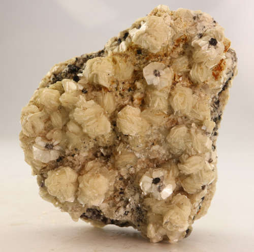 Muscovite Cluster, Erongo Mnt Region, Namibia