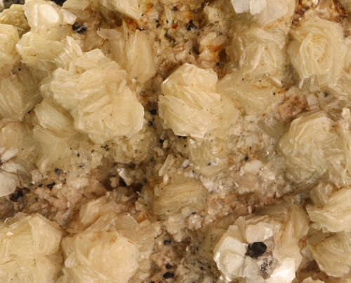 Muscovite Cluster, Erongo Mnt Region, Namibia