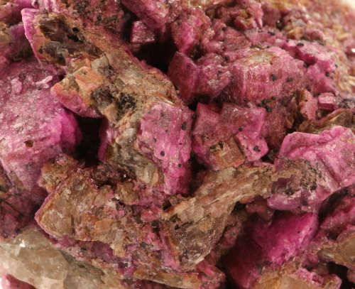 Cobaltoan Calcite on Matrix, Mashamba West Mine, DRC