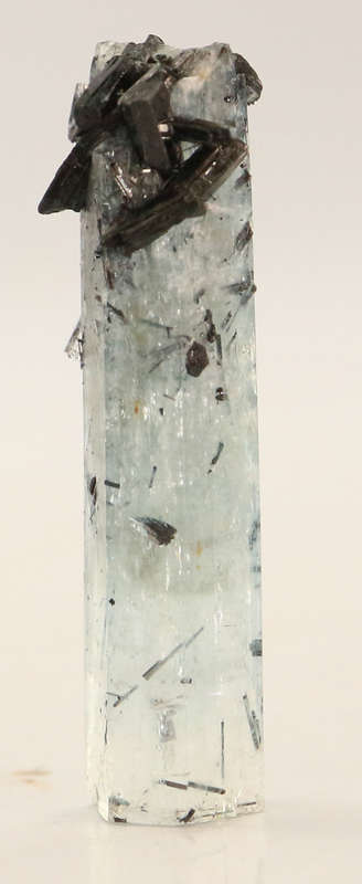 Schorl on Aquamarine, Erongo Mnt Region, Namibia