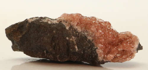 Rhodochrosite on Matrix, N`Chwaning II, Northern Cape, South Africa