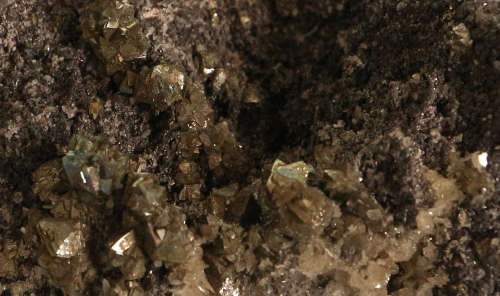 Marcasite on Matrix, Rosh Pinah Mine, Namibia