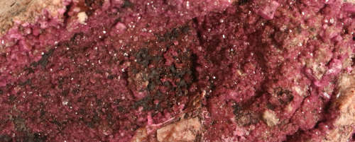 Cobaltoan Calcite on Matrix, Mashamba West Mine, DRC