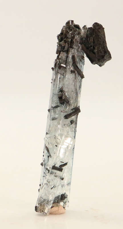 Schorl on Aquamarine, Erongo Mnt Region, Namibia