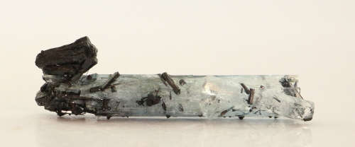 Schorl on Aquamarine, Erongo Mnt Region, Namibia