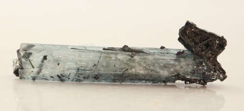 Schorl on Aquamarine, Erongo Mnt Region, Namibia