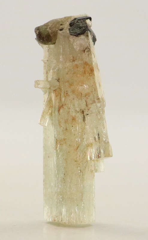 Goshenite Crystal, Erongo Mnt Region, Namibia