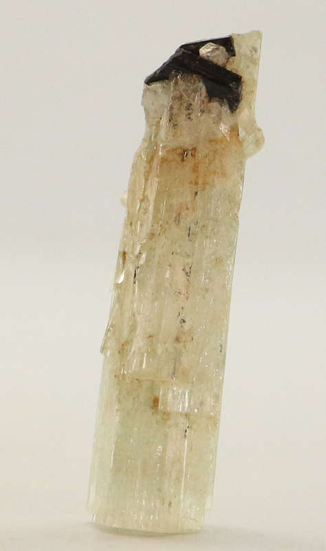 Goshenite Crystal, Erongo Mnt Region, Namibia
