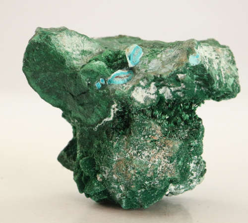 Malachite on Matrix, Mashamba West Mine, DRC