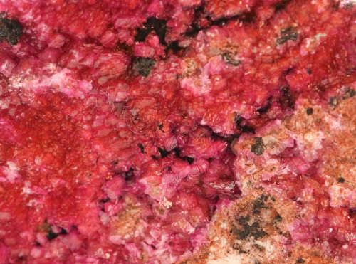 Cobaltoan Calcite on Matrix, Mashamba West Mine, DRC