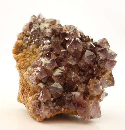 Amethyst cactus fairy Quartz, Boekenhouthoek, South Africa