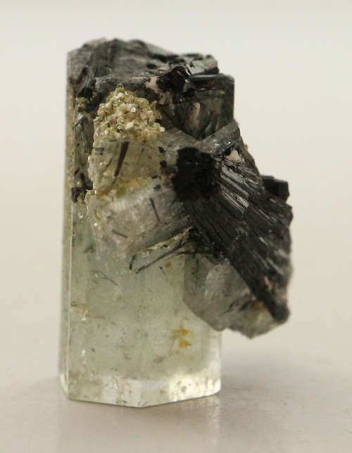 Schorl on Aquamarine Cluster, Erongo Mnt Region, Namibia
