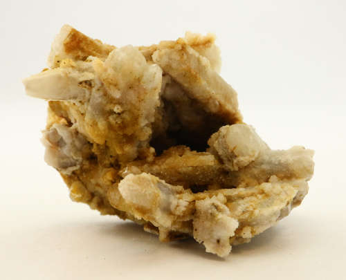 Goethite Stained Cactus Quartz Cluster, Boekenhouthoek, South Africa