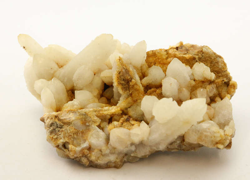 Cactus Fairy Quartz Cluster, Boekenhouthoek, South Africa