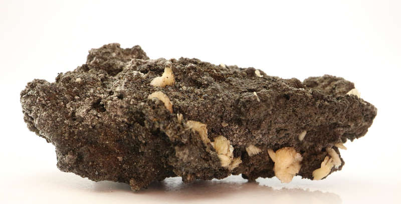 Baryte on Matrix, Rosh Pinah Mine, Namibia