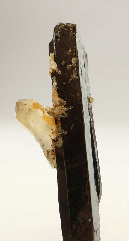 Smoky Quartz on Aegirine, Zomba Mnt, Malawi