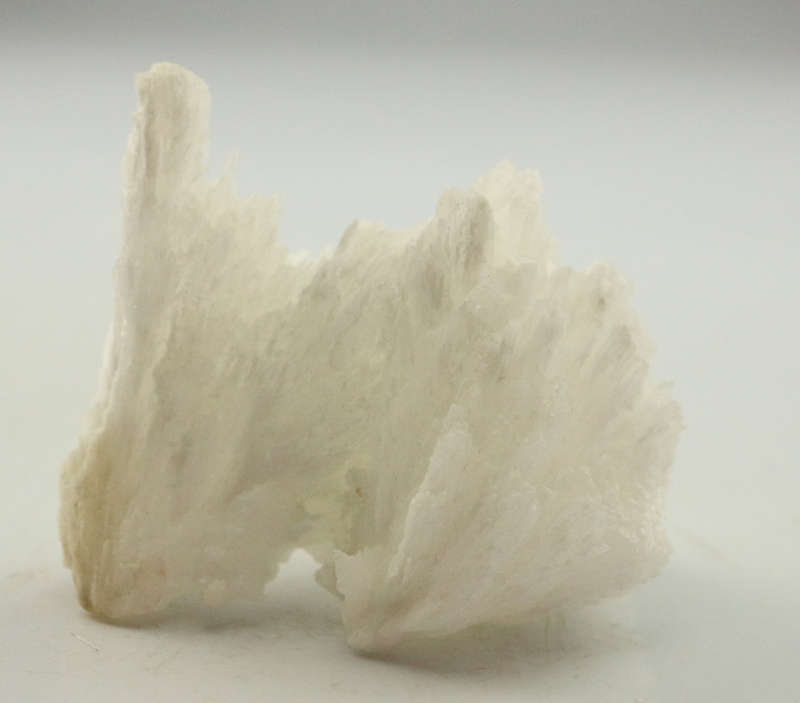 Aragonite Cluster, South Africa