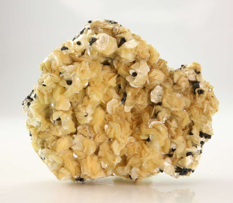 Muscovite Cluster, Erongo Mnt Region, Namibia