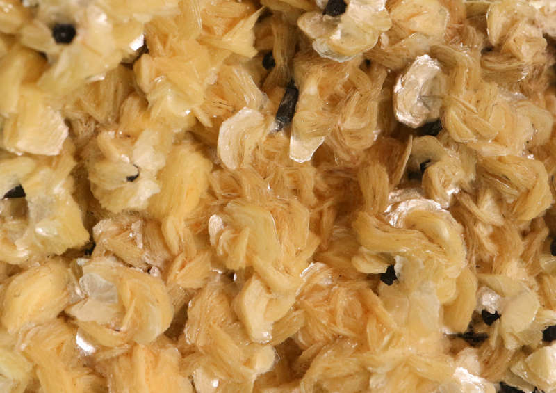 Muscovite Cluster, Erongo Mnt Region, Namibia