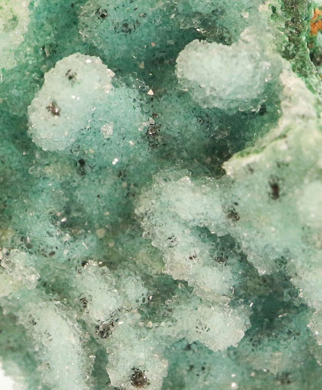 Quartz on Chrysocolla psm Azurite, Tenke Fungurume, DR Congo