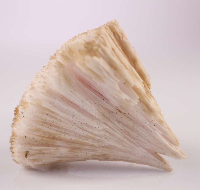 Kutnohorite, N`Chwaning II, Northern Cape, South Africa
